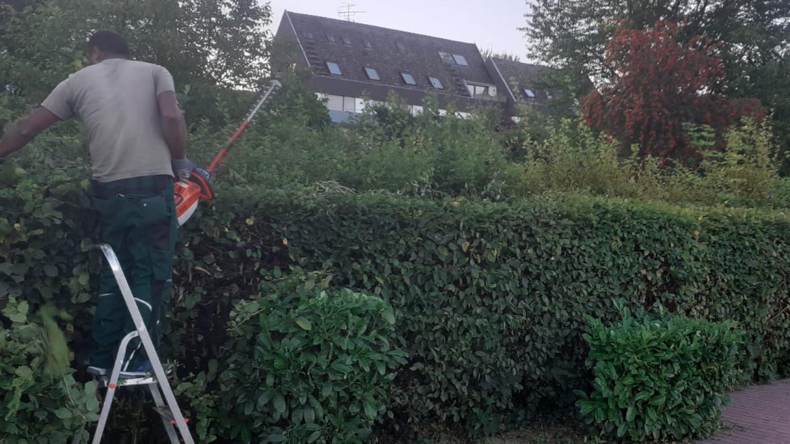 Hauptfoto: Jobs